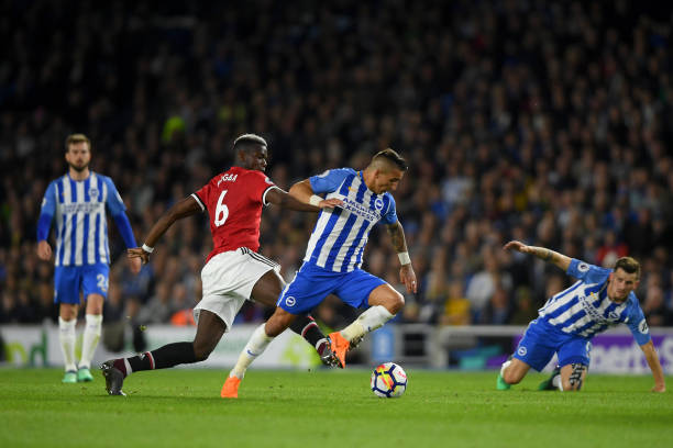 团队合作的 团队合作的