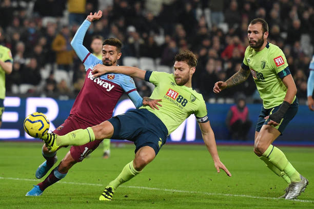 个特别的动 个特别的动