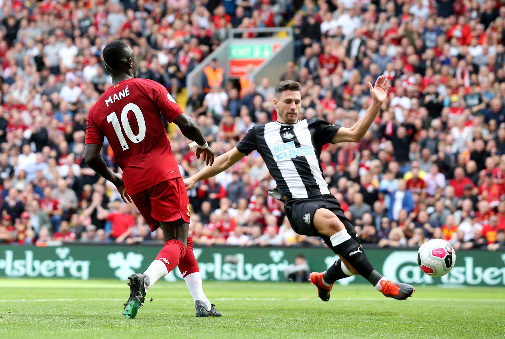 的统治地位 的统治地位