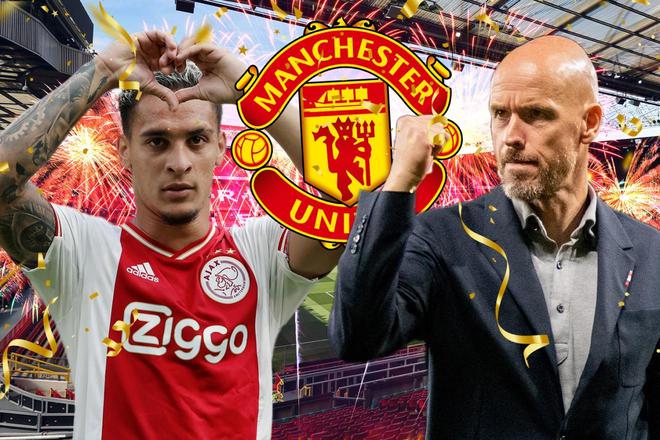 高级别的足 高级别的足